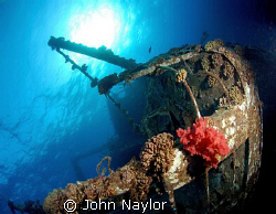 red sea wreck. by John Naylor 